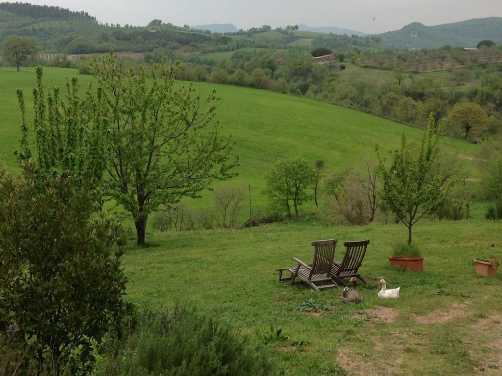 Poggioba Bed and Breakfast Sovana Exteriör bild